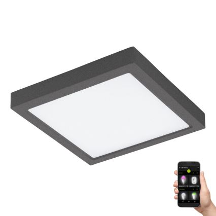 Eglo - LED himmennettävä ulkovalaisin ARGOLIS-C LED/22W/230V IP44 Bluetooth