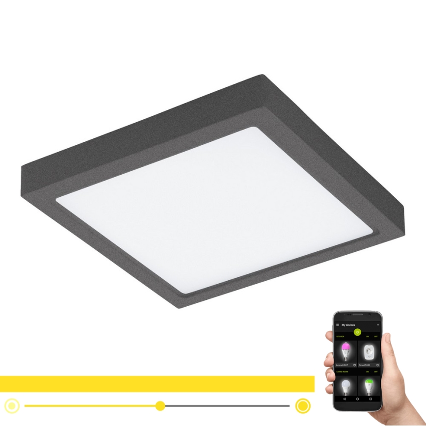 Eglo - LED himmennettävä ulkovalaisin ARGOLIS-C LED/22W/230V IP44 Bluetooth