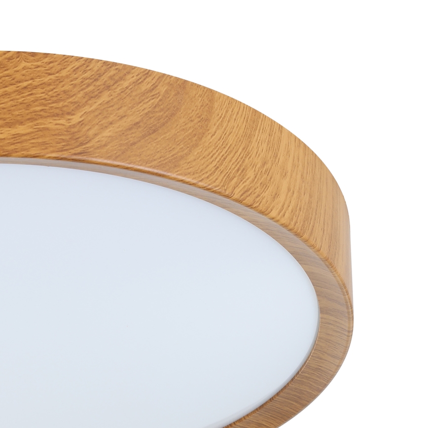 Eglo - LED-kattovalaisin LED/14,6W/230V