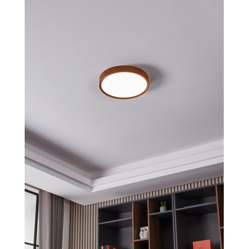 Eglo - LED-kattovalaisin LED/14,6W/230V