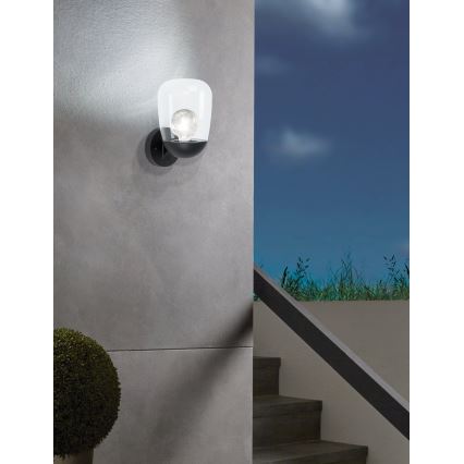 Eglo 98701 - Ulkoseinävalaisin DONATORI 1xE27/60W/230V IP44
