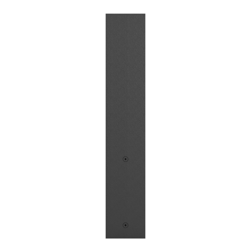Eglo - LED-ulkovalaisin 2xLED / 5W / 230V IP44 34 cm