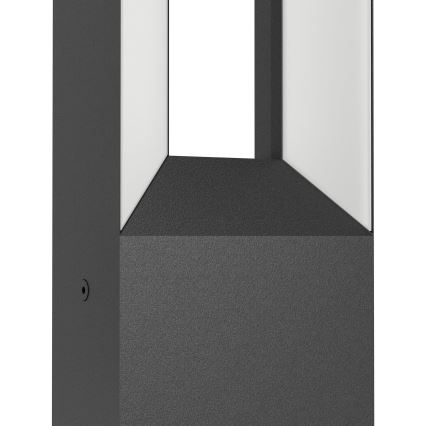 Eglo - LED-ulkovalaisin 2xLED / 5W / 230V IP44 34 cm