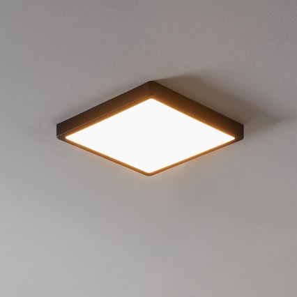 Eglo - LED Himmennettävä kylpyhuonevalo LED/19,5W/230V IP44 ZigBee