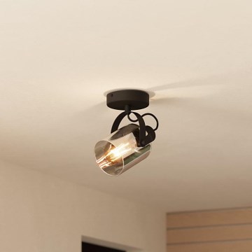 Eglo 99052 - Kohdevalo BERREGAS 1xE27/28W/230V