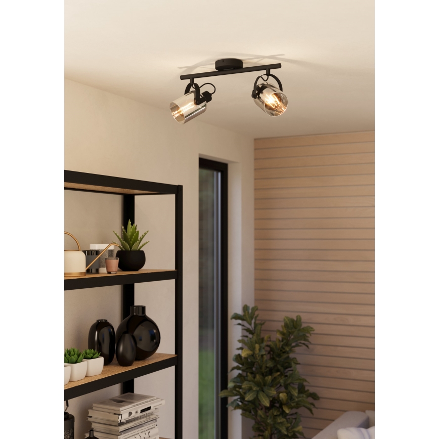 Eglo 99053 - Kohdevalo BERREGAS 2xE27/40W/230V