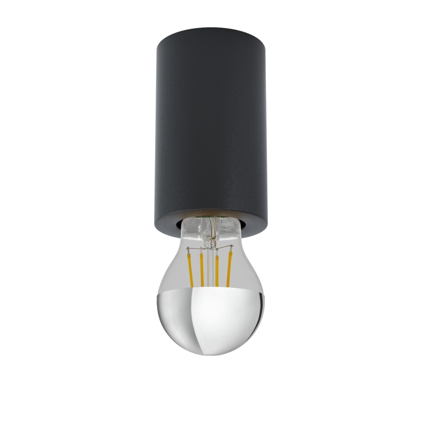 Eglo 99065 - Kattovalo SALUZZO 1xE27/40W/230V