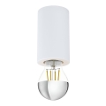 Eglo 99066 - Kattovalo SALUZZO 1xE27/40W/230V