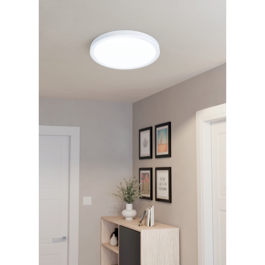 Eglo 99217 - LED-kattovalaisin FUEVA 5 LED/20W/230V