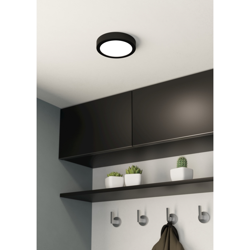 Eglo 99222 - LED-kattovalaisin FUEVA 5 LED/10,5W/230V