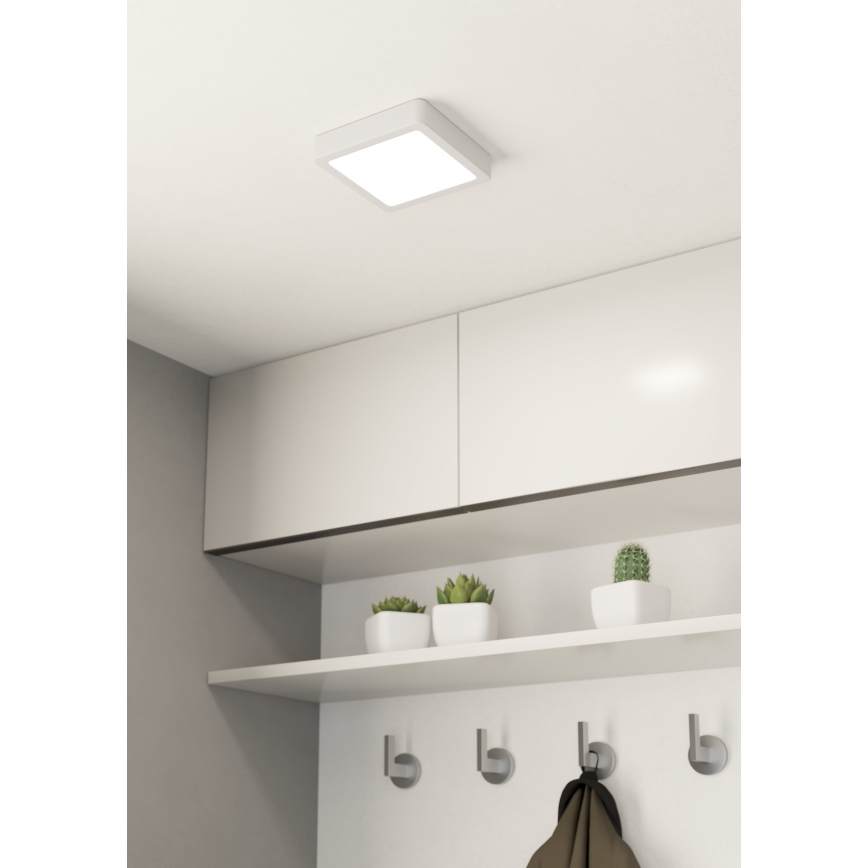 Eglo 99236 - LED-kattovalaisin FUEVA 5 LED/10,5W/230V