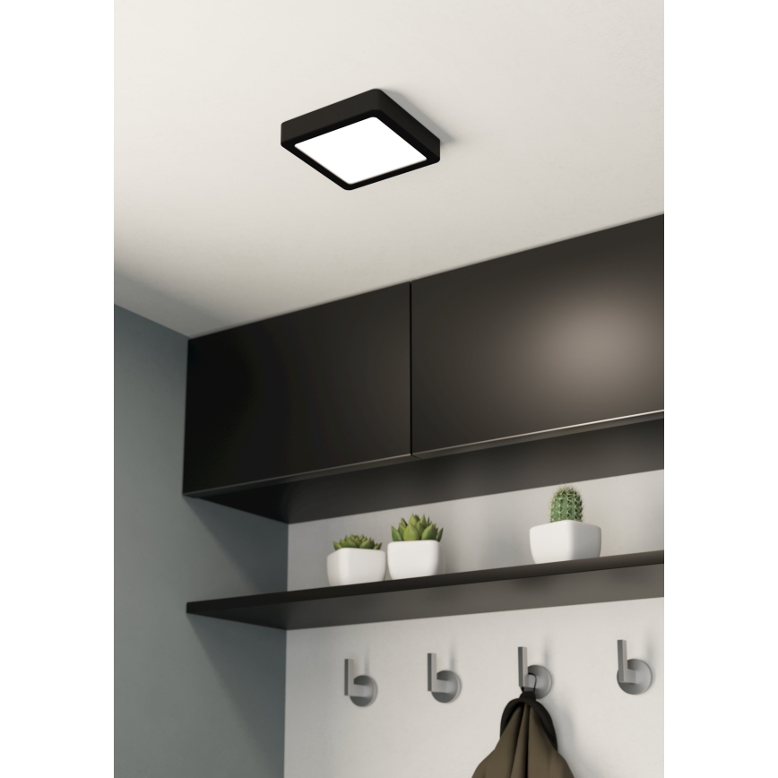 Eglo 99243 - LED-kattovalaisin FUEVA 5 LED/10,5W/230V