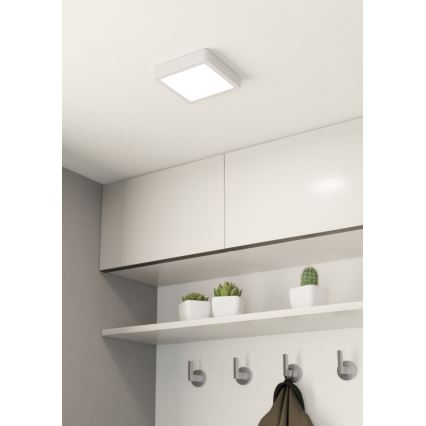 Eglo 99246 - LED-kattovalaisin FUEVA 5 LED/10,5W/230V
