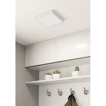 Eglo 99247 - LED-kattovalaisin FUEVA 5 LED/16,5W/230V
