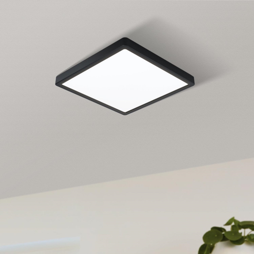 Eglo 99256 - LED-kattovalaisin FUEVA 5 LED/16,5W/230V