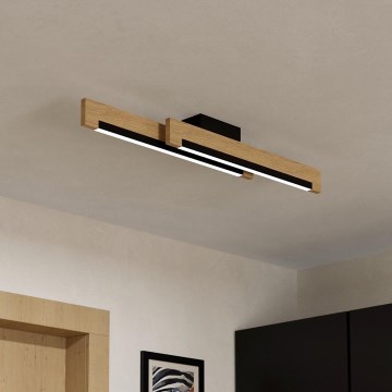 Eglo 99292 - Himmennettävä LED-kattovalaisin CAMACHO 2xLED/10W/230V