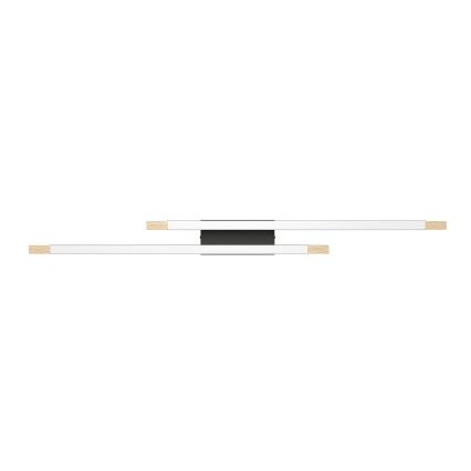Eglo 99292 - Himmennettävä LED-kattovalaisin CAMACHO 2xLED/10W/230V