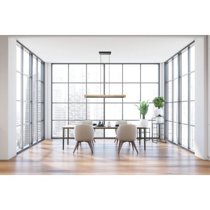Eglo 99293 - Himmennettävä LED-kattokruunu narussa CAMACHO LED/25,5W/230V