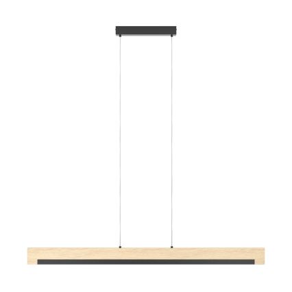 Eglo 99293 - Himmennettävä LED-kattokruunu narussa CAMACHO LED/25,5W/230V