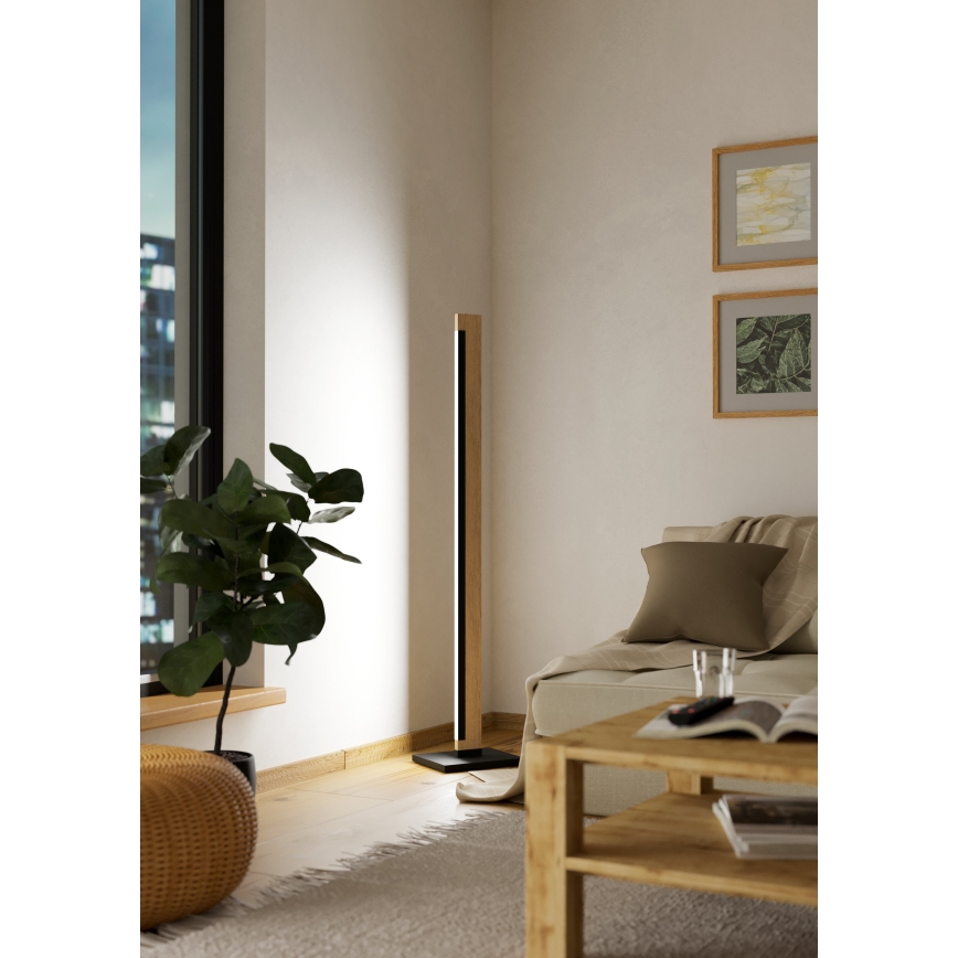Eglo - LED Himmennettävä kosketus lattialamppu CAMACHO LED/22W/230V