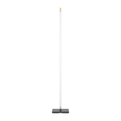 Eglo - LED Himmennettävä kosketus lattialamppu CAMACHO LED/22W/230V