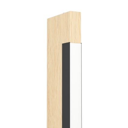 Eglo - LED Himmennettävä kosketus lattialamppu CAMACHO LED/22W/230V