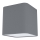 Eglo 99304 - Kattovalo POSADERRA 1xE27/28W/230V