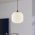 Eglo 99366 - Kattokruunu narulla MANTUNALLE 1xE27/40W/230V