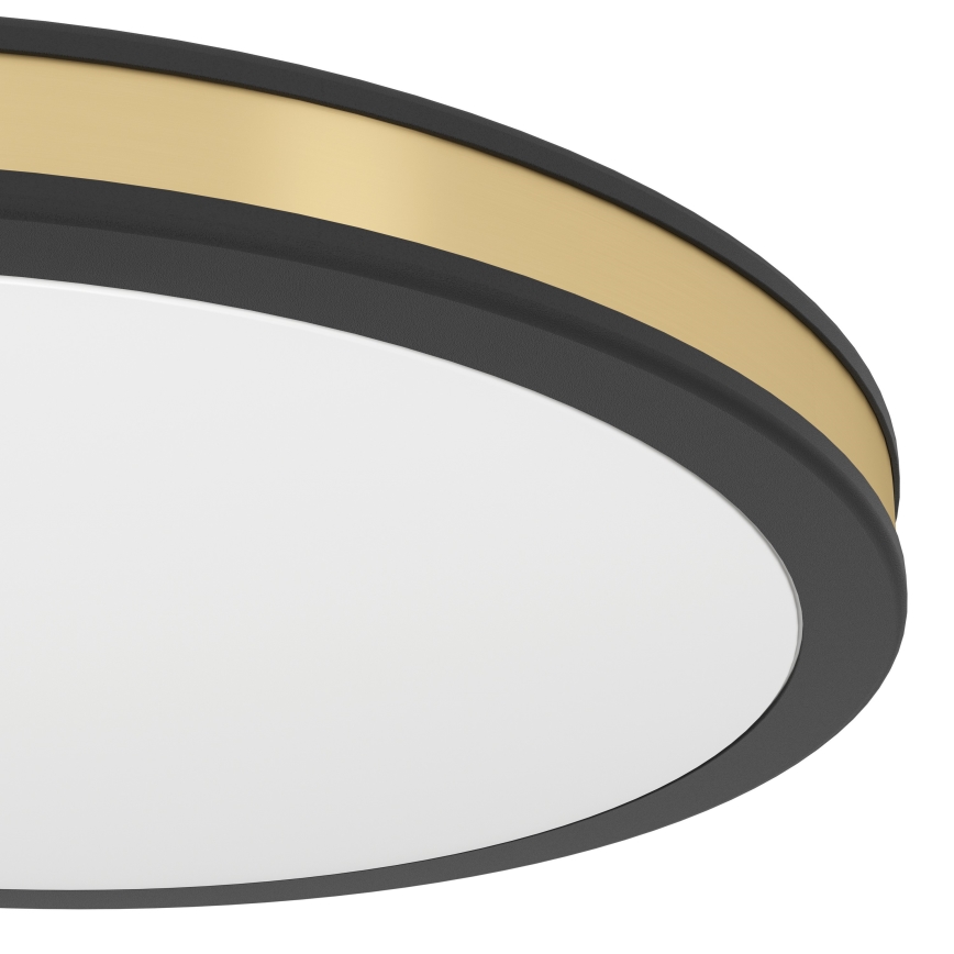 Eglo 99406 - LED-kattovalaisin PESCAITO LED/11W/230V