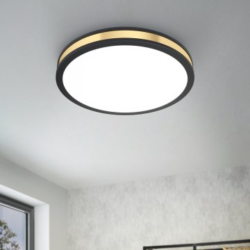 Eglo 99407 - LED-kattovalaisin PESCAITO LED/24W/230V