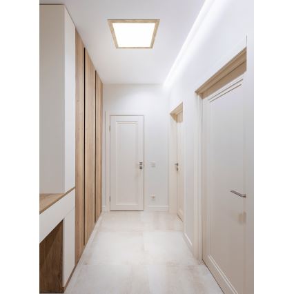 Eglo - LED-kattovalo LED/32W/230V 645x645 mm