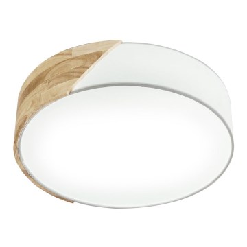 Eglo 99458 - Kattovalo GRIMALDINO 2xE27/28W/230V