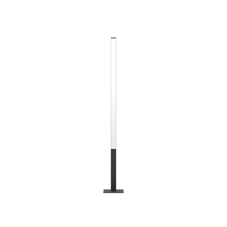 Eglo - LED RGBW Himmennettävä lattiavalo LED/35W/230V 2700-6500K ZigBee