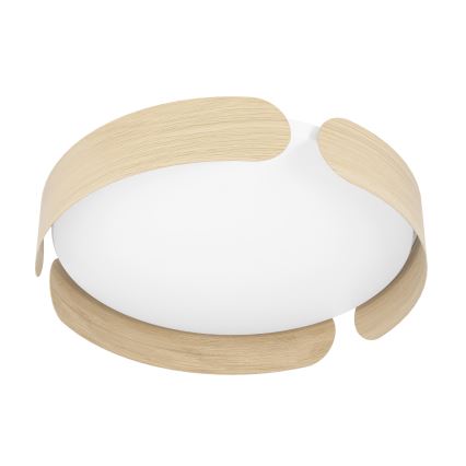 Eglo - LED-kattovalaisin LED/24W/230V