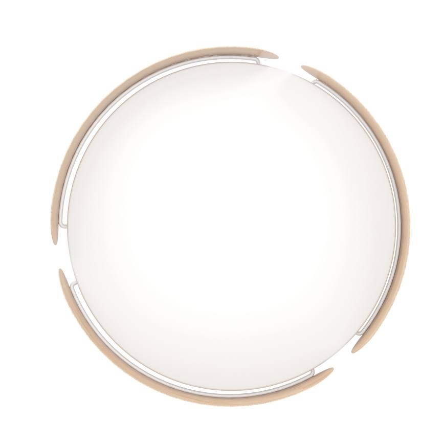 Eglo - LED-kattovalaisin LED/24W/230V