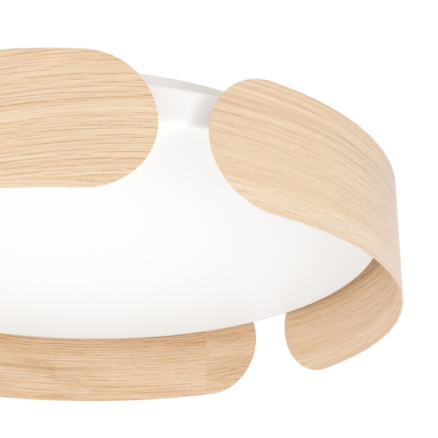 Eglo - LED-kattovalaisin LED/24W/230V