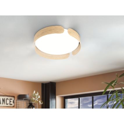 Eglo - LED-kattovalaisin LED/24W/230V
