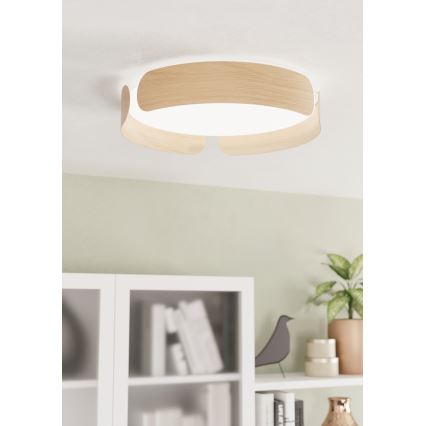 Eglo - LED-kattovalaisin LED/24W/230V