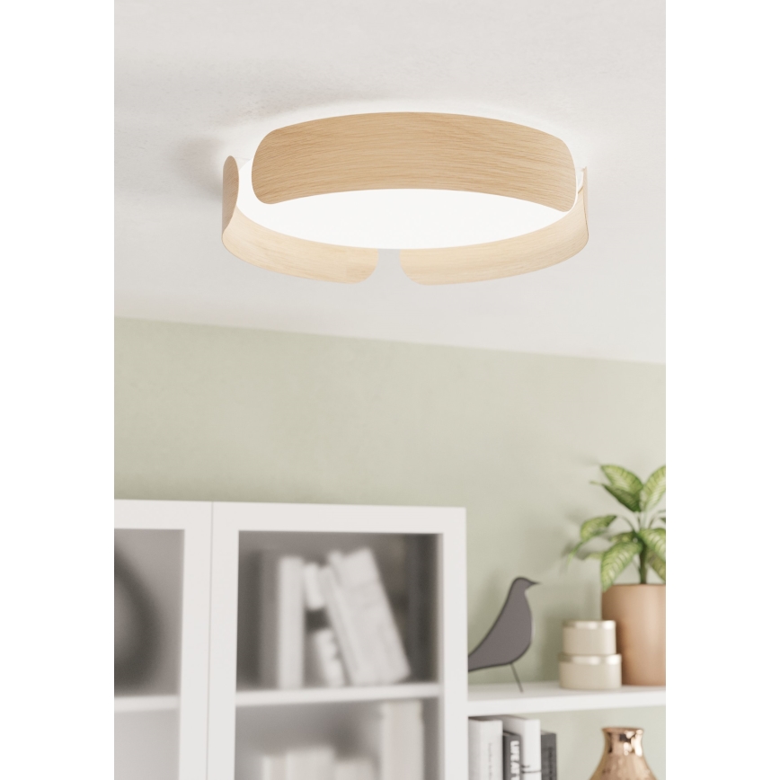 Eglo - LED-kattovalaisin LED/24W/230V