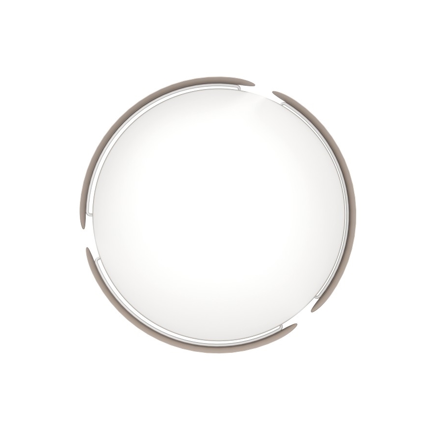 Eglo - LED-kattovalaisin LED/24W/230V