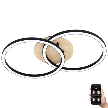 Eglo - LED Himmennettävä pinta-asennettava kattokruunu 2xLED/16W/230V 2700-6500K