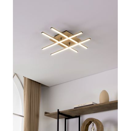 Eglo - LED-kattovalo LED/21W/230V