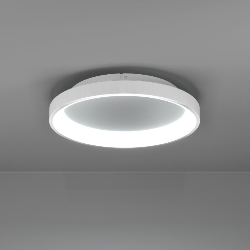 Eglo - Himmennettävä LED-kattovalaisin LED/12W/230V 2700-6500K valkoinen + kauko-ohjaus