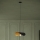 Eglo - Kattokruunu johdossa 1xE27/40W/230V 53 cm musta/kulta