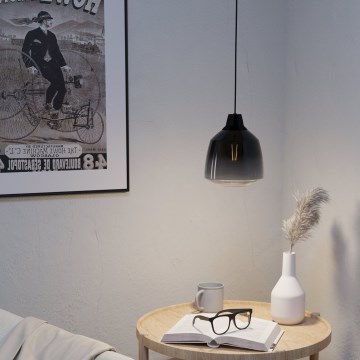 Eglo - Kattokruunu johdossa 1xE27/40W/230V