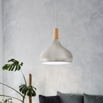 Eglo - Kattokruunu johdossa 1xE27/60W/230V halkaisija 28 cm hopea - FSC sertifioitu