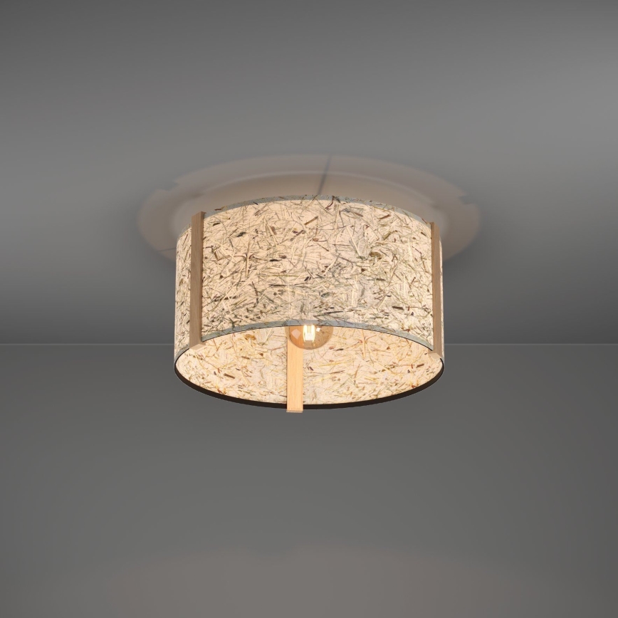 Eglo - Kattovalo 1xE27/25W/230V beige