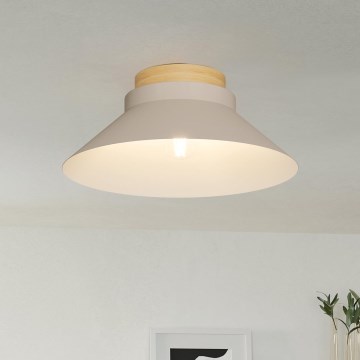 Eglo - Kattovalo 1xE27/40W/230V