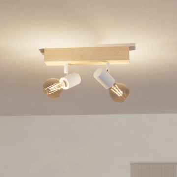 Eglo - Kohdevalo TOWNSHEND 2xE27/60W/230V - FSC sertifioitu