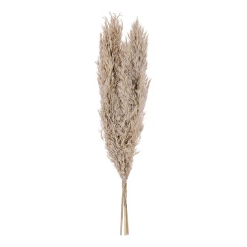Eglo - kuivakukka 55 cm beige